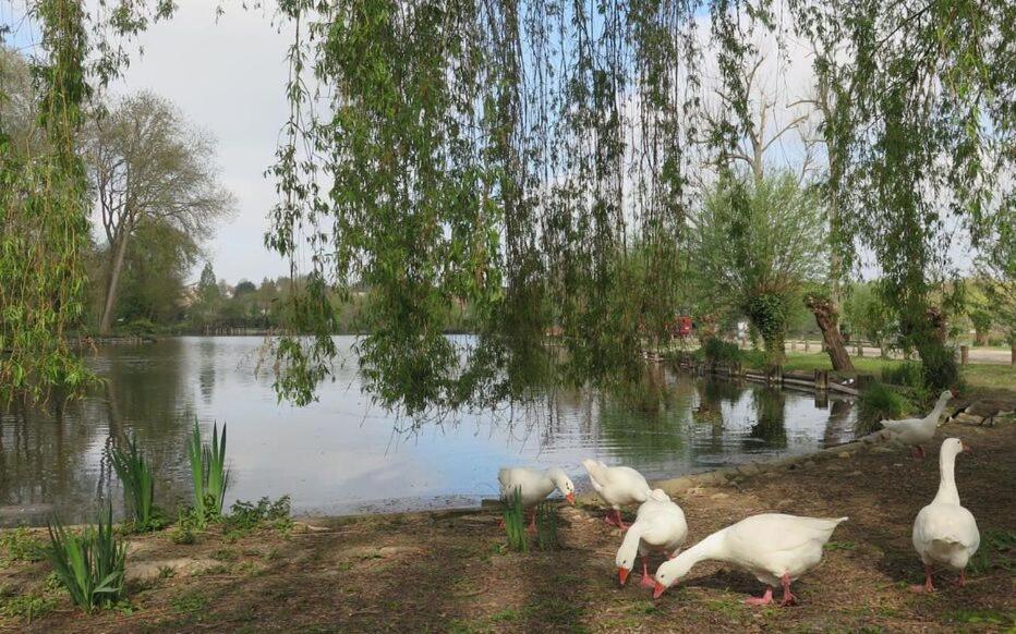 Le Clos Des Marais De Fontenay Luaran gambar